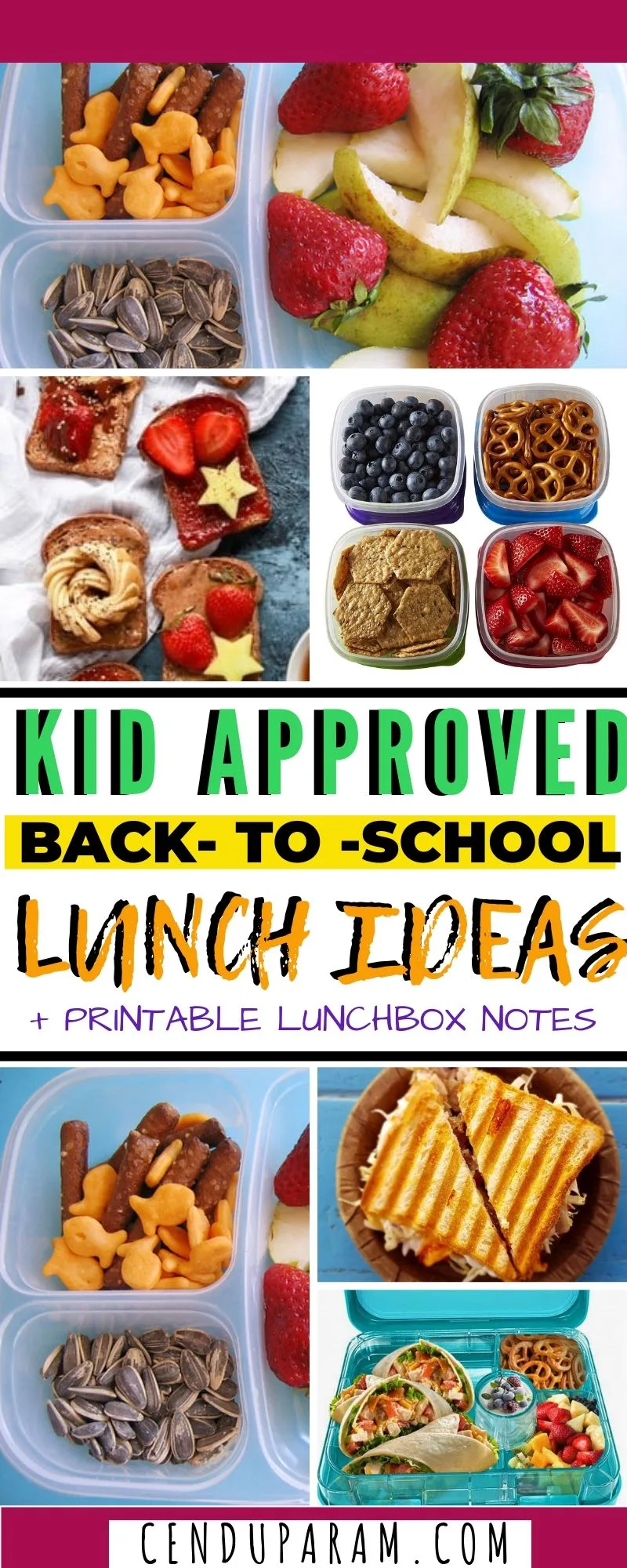 Healthy School Lunch and Snack Ideas for Kids – Cenzerely Yours