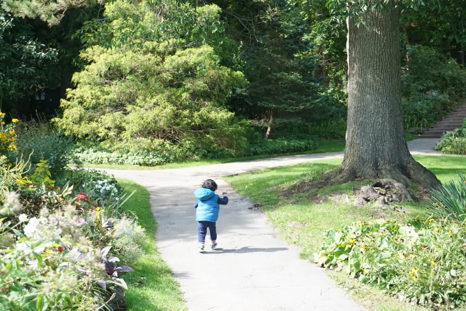 Toddler at Niagara Botanical Gardens.