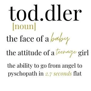 funny jokes about todlers