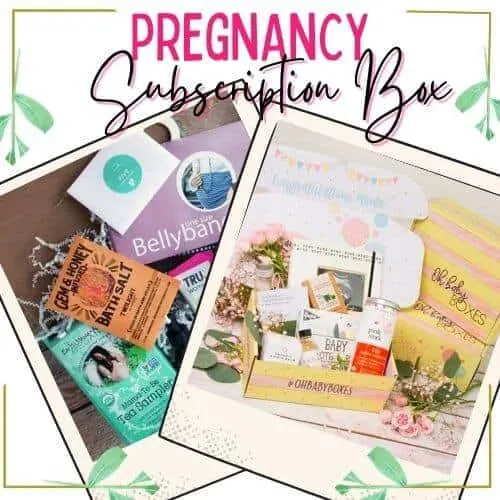 pregnancy subscription box