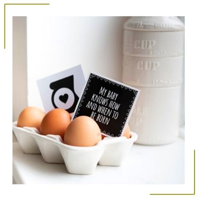 eggs in a carton pregnancy reveal