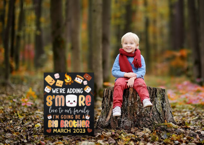 toddler boy sitting on tree stump in fall time next to camping fall pregnancy announcement sign