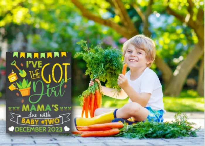 little boy holding carrots and sitting next to spring themed big brother announcement sign