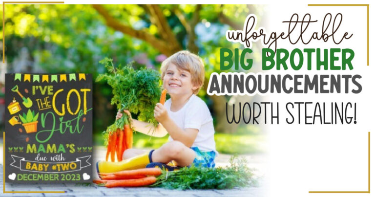 30 Cutest Big Brother Pregnancy Announcements