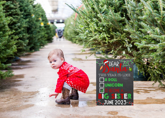 toddlr girl at the tree farm with Christmas big sister announcement sign