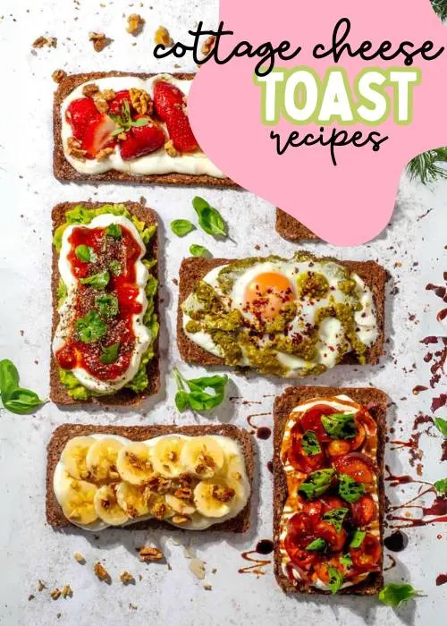 healthy cottage cheese breakfast toast recipes for pregnancy