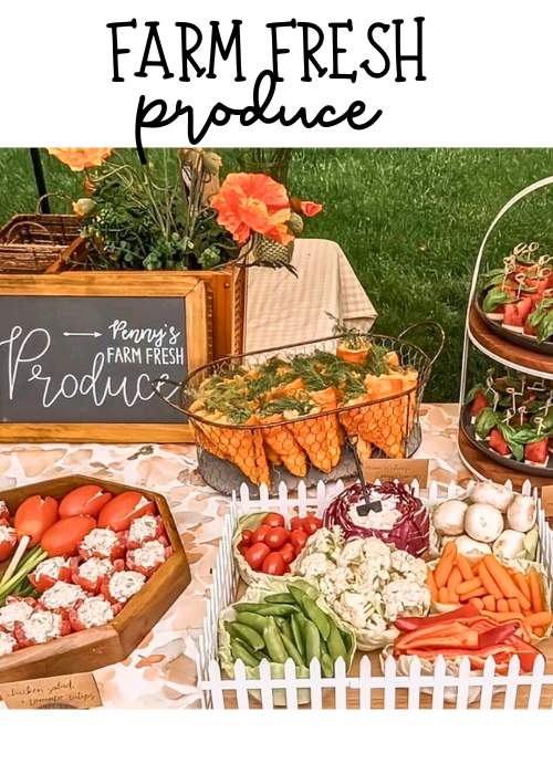 appetizer table ideas for locally grown baby shower