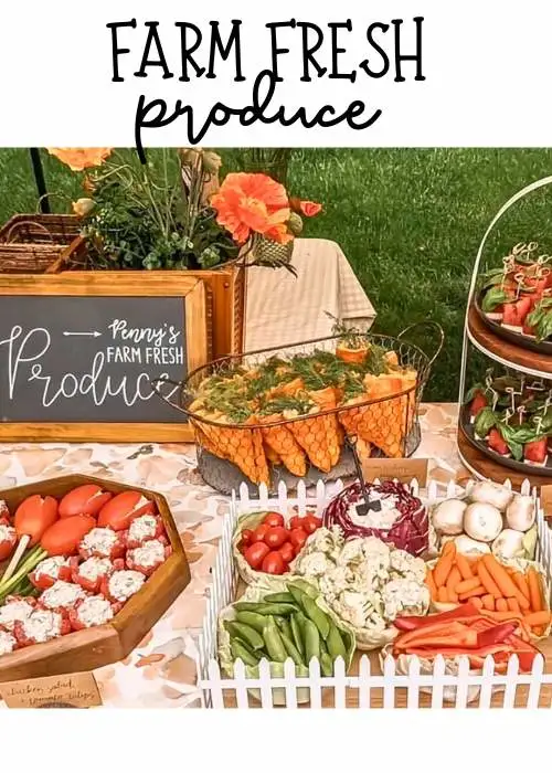 appetizer table ideas for locally grown baby shower